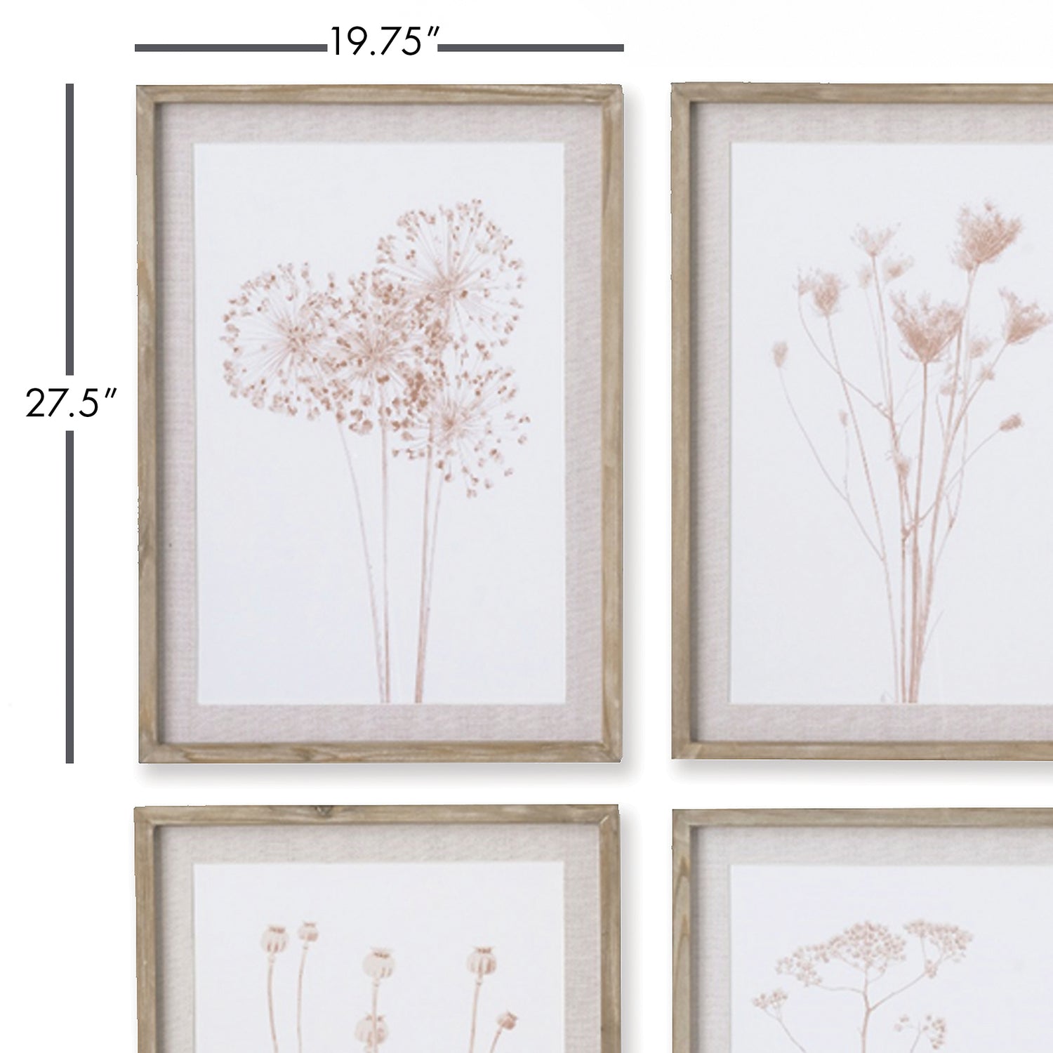 Stylized Botanical Prints, Set Of 4