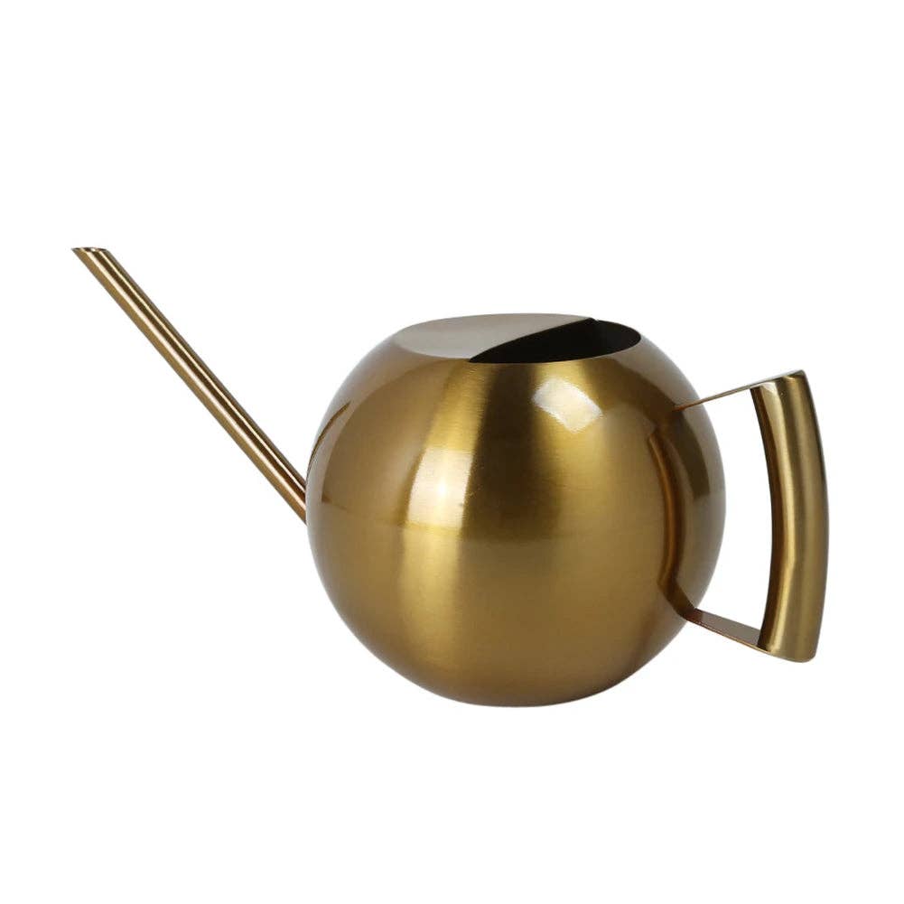 Minimalist Plant Watering Can: Silver