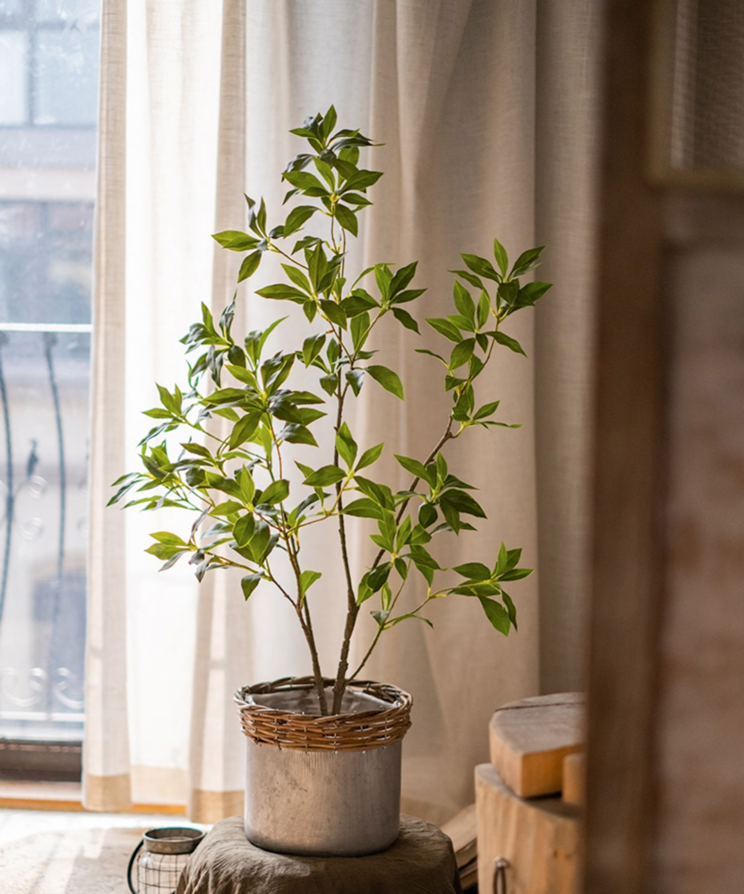 Artificial Japanese Enkianthus Tree: Medium