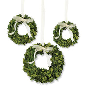 Mini Preserved Boxwood Wreaths - 3 Sizes