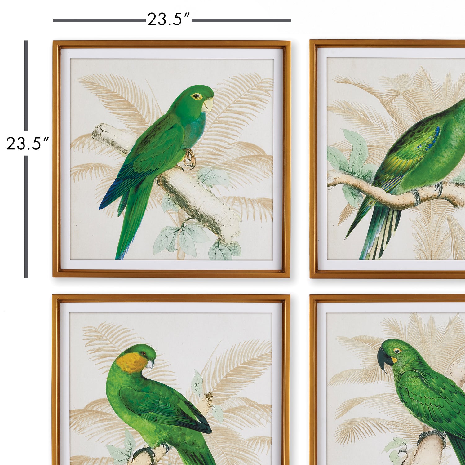 Green Parrots Study, Set Of 4