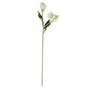 White Real Touch Magnolia Stem - 25 Inch