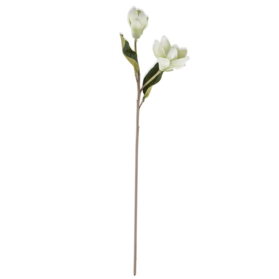 White Real Touch Magnolia Stem - 25 Inch
