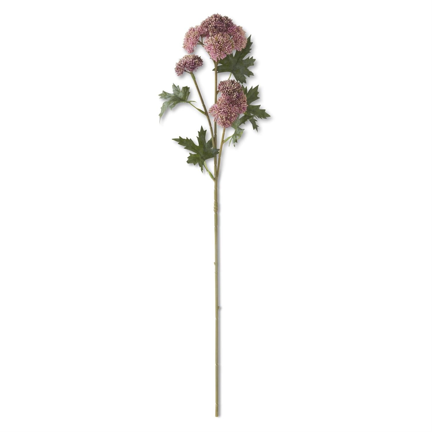 28 Inch Pink Sedum Stem