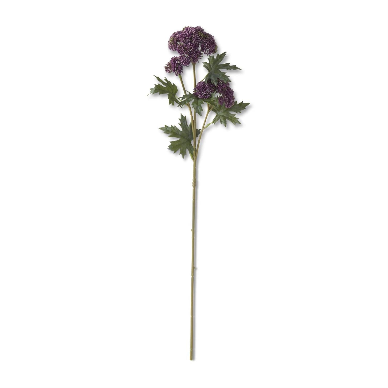 28 Inch Dark Purple Sedum Stem