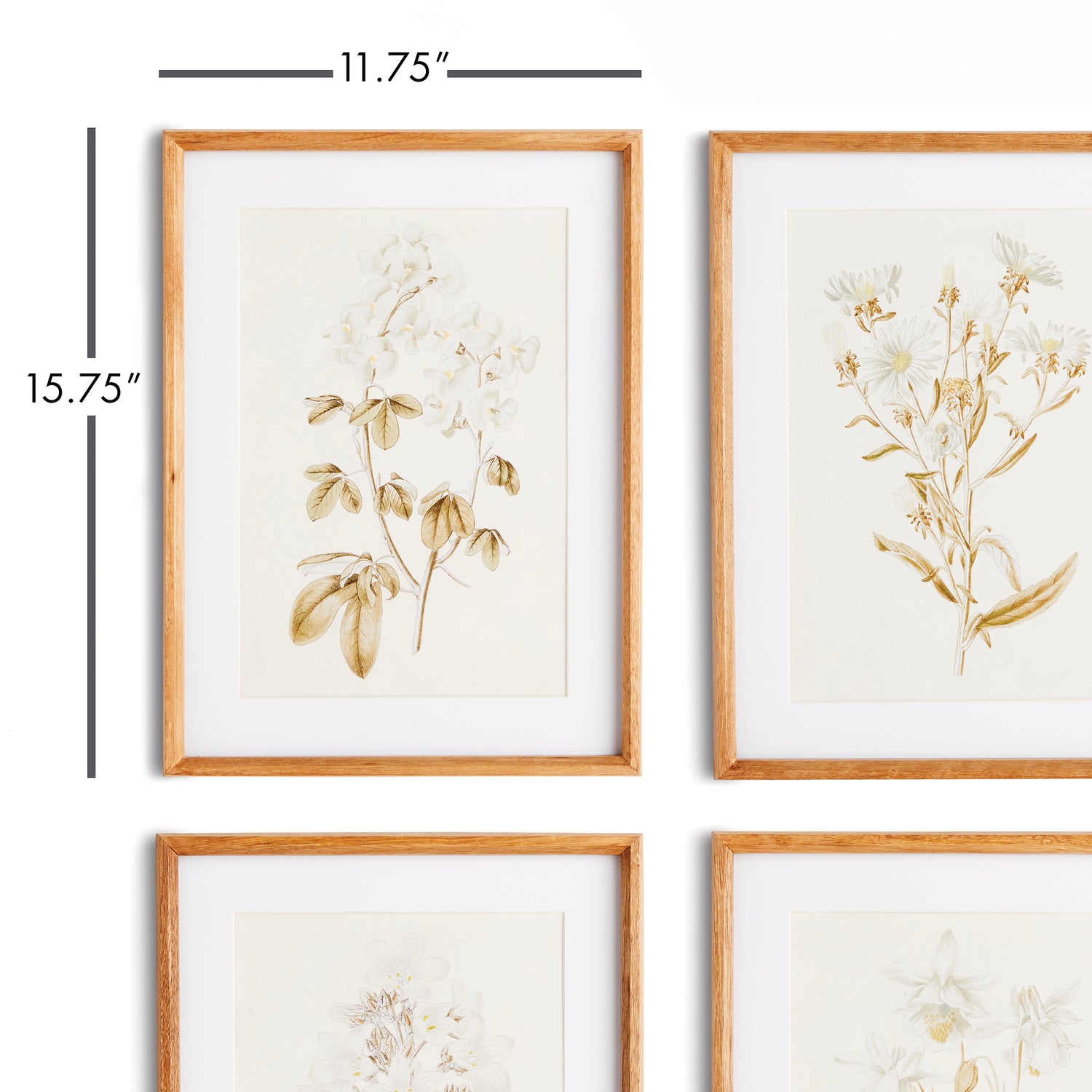 Fleur De Blanc Prints, Set Of 4