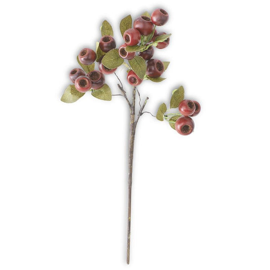 18.5 Inch Red Pod Stem