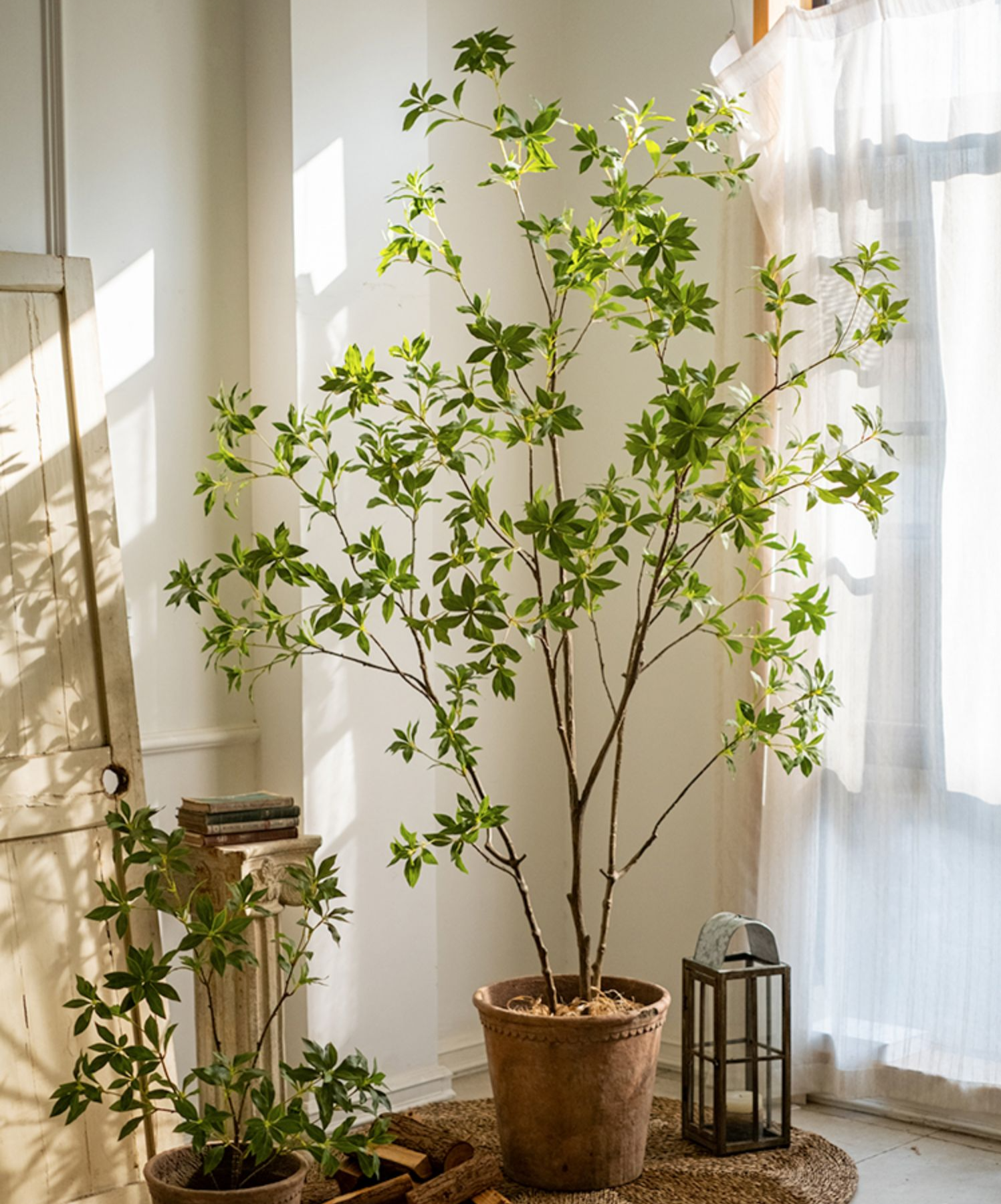 Artificial Japanese Enkianthus Tree: Medium