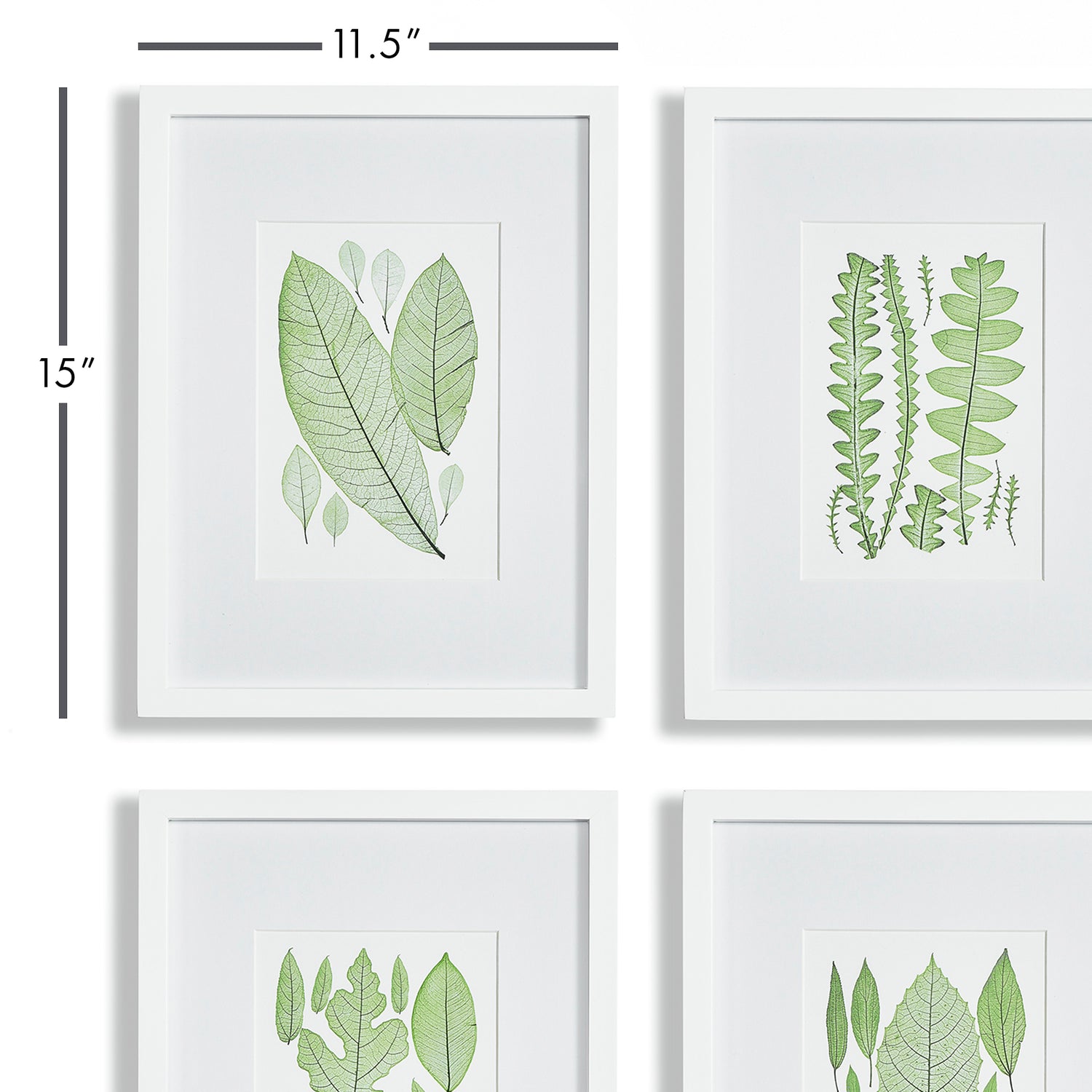 DISCONTINUED Assorted Leaf Prints, Set Of 4