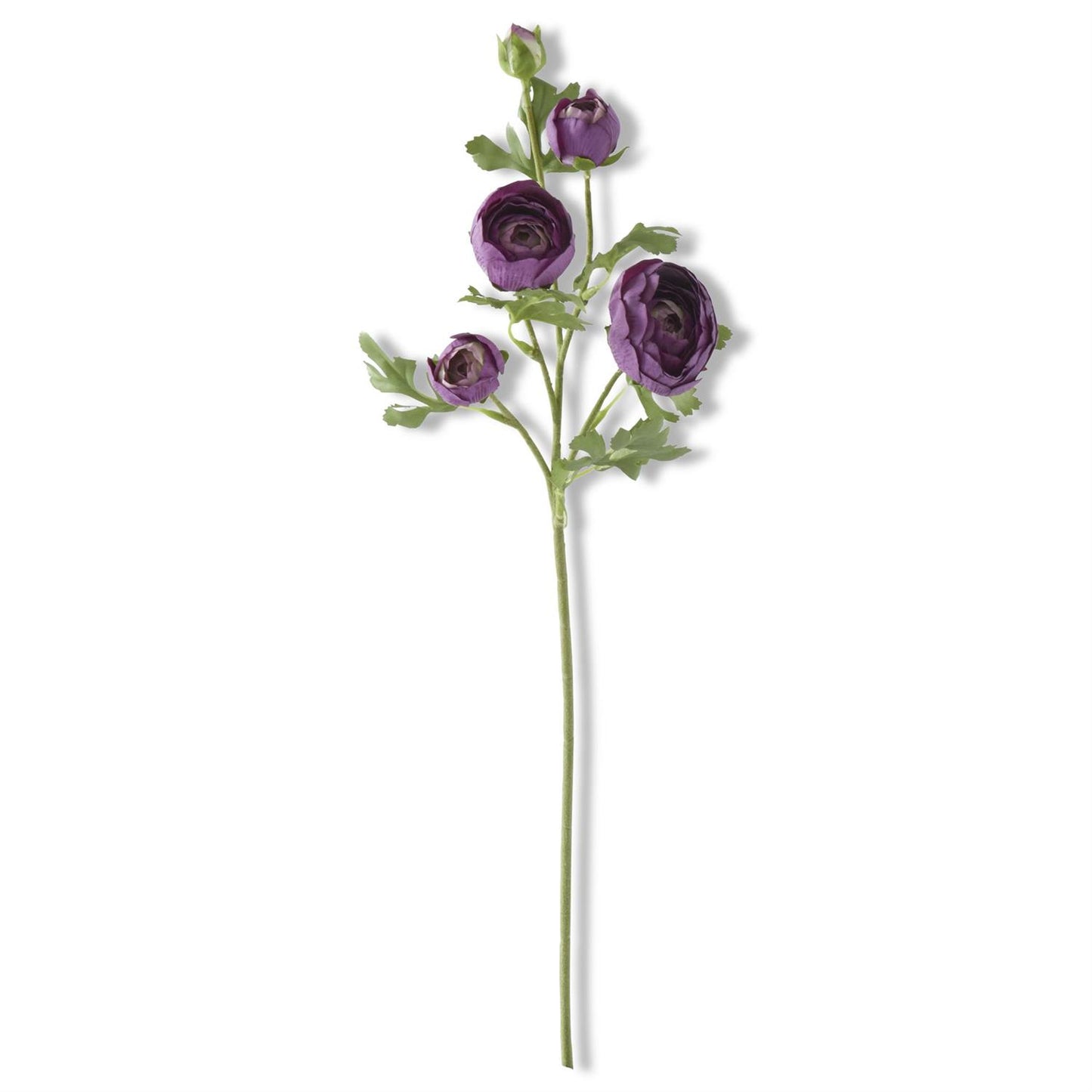 24.5 Inch Dark Purple Real Touch 5 Head Ranunculus