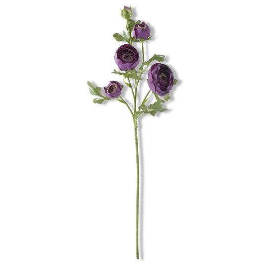 24.5 Inch Dark Purple Real Touch 5 Head Ranunculus
