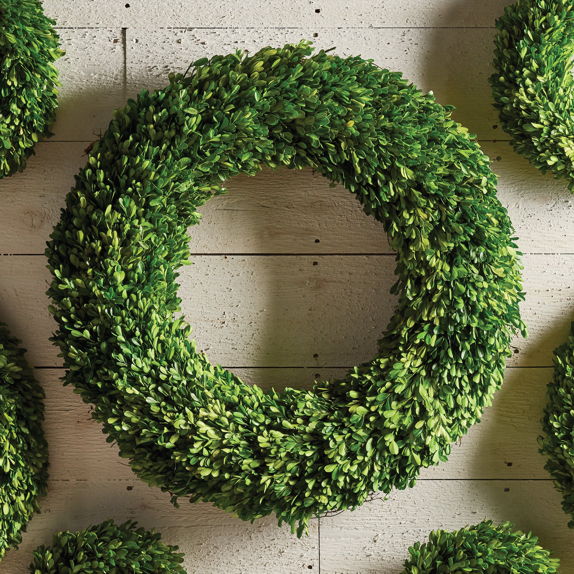 BOXWOOD WREATH 30"