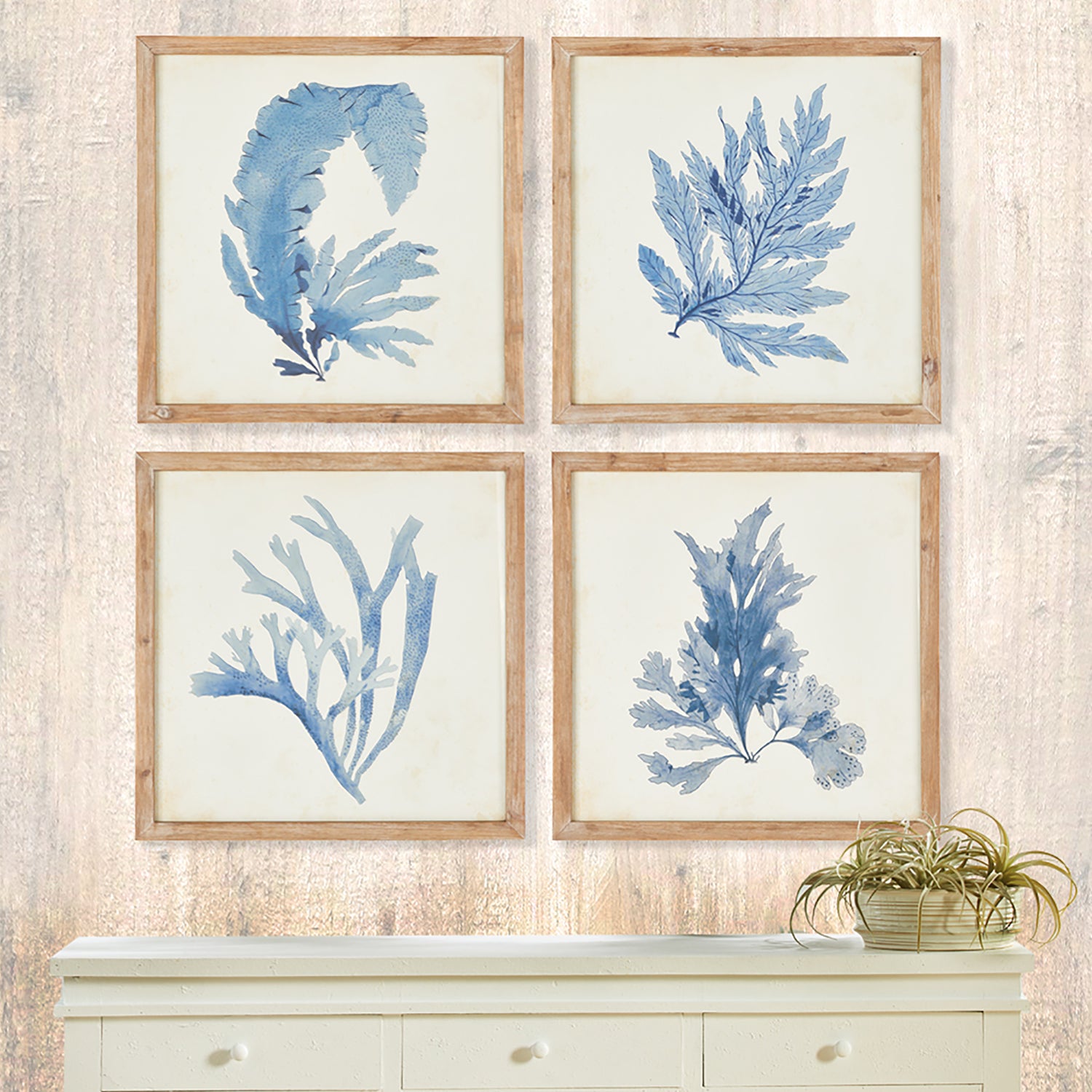 Framed Coral Watercolor Prints, Set Of 4