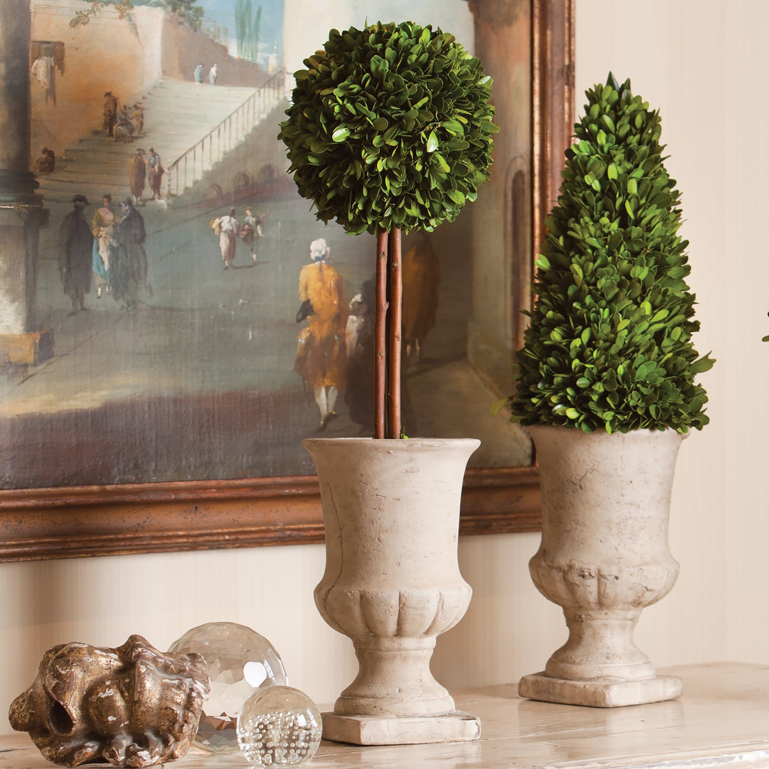 Boxwood Cone Topiary In Urn 24"