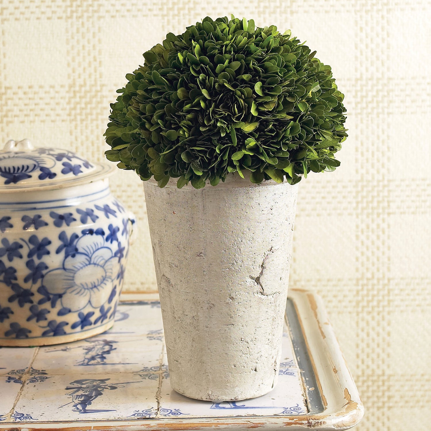 Boxwood Three-Quarter Ball In Pot