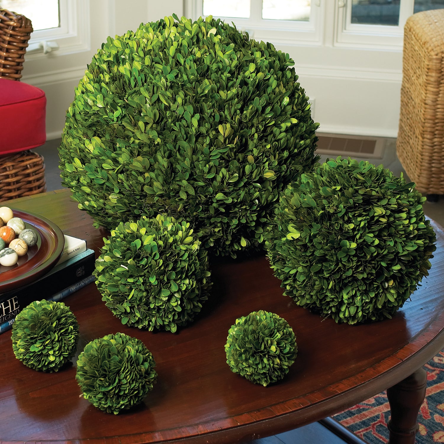 Boxwood Ball 16"