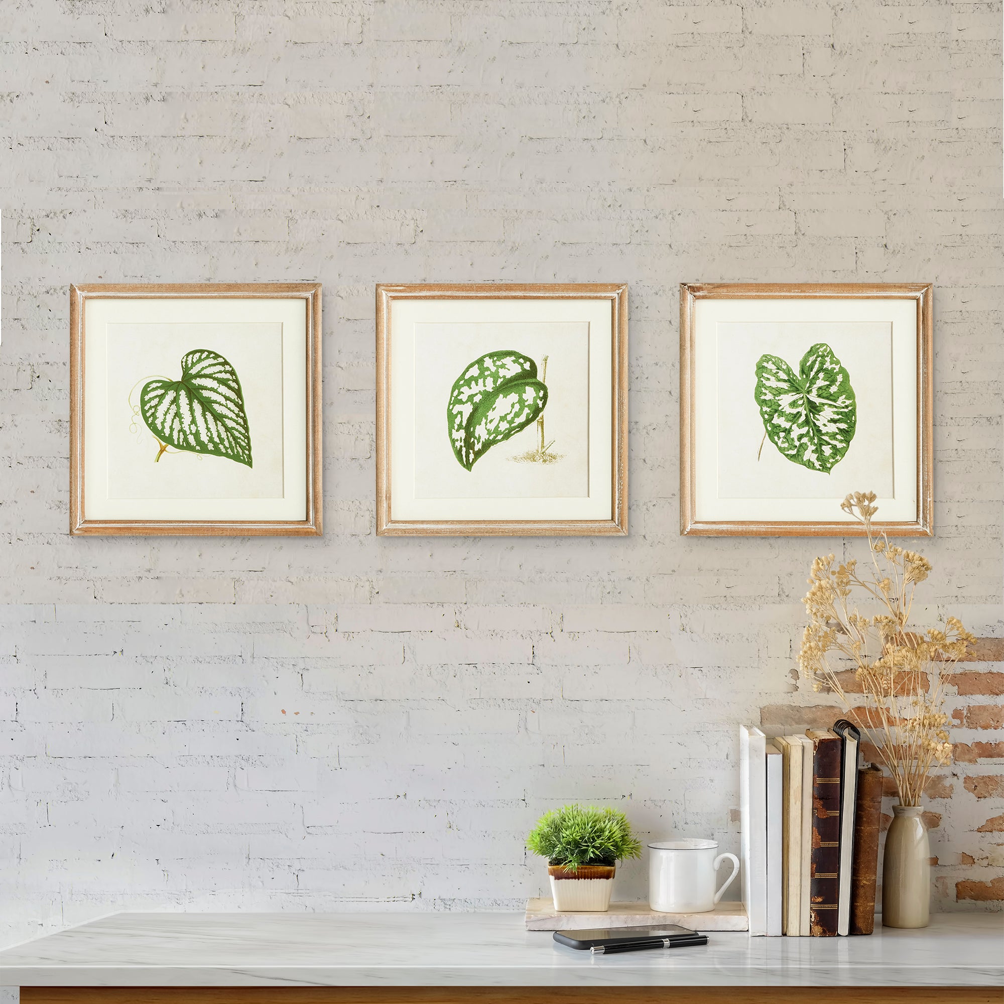 LEAF CUTTINGS PETITE PRINTS, SET OF 3
