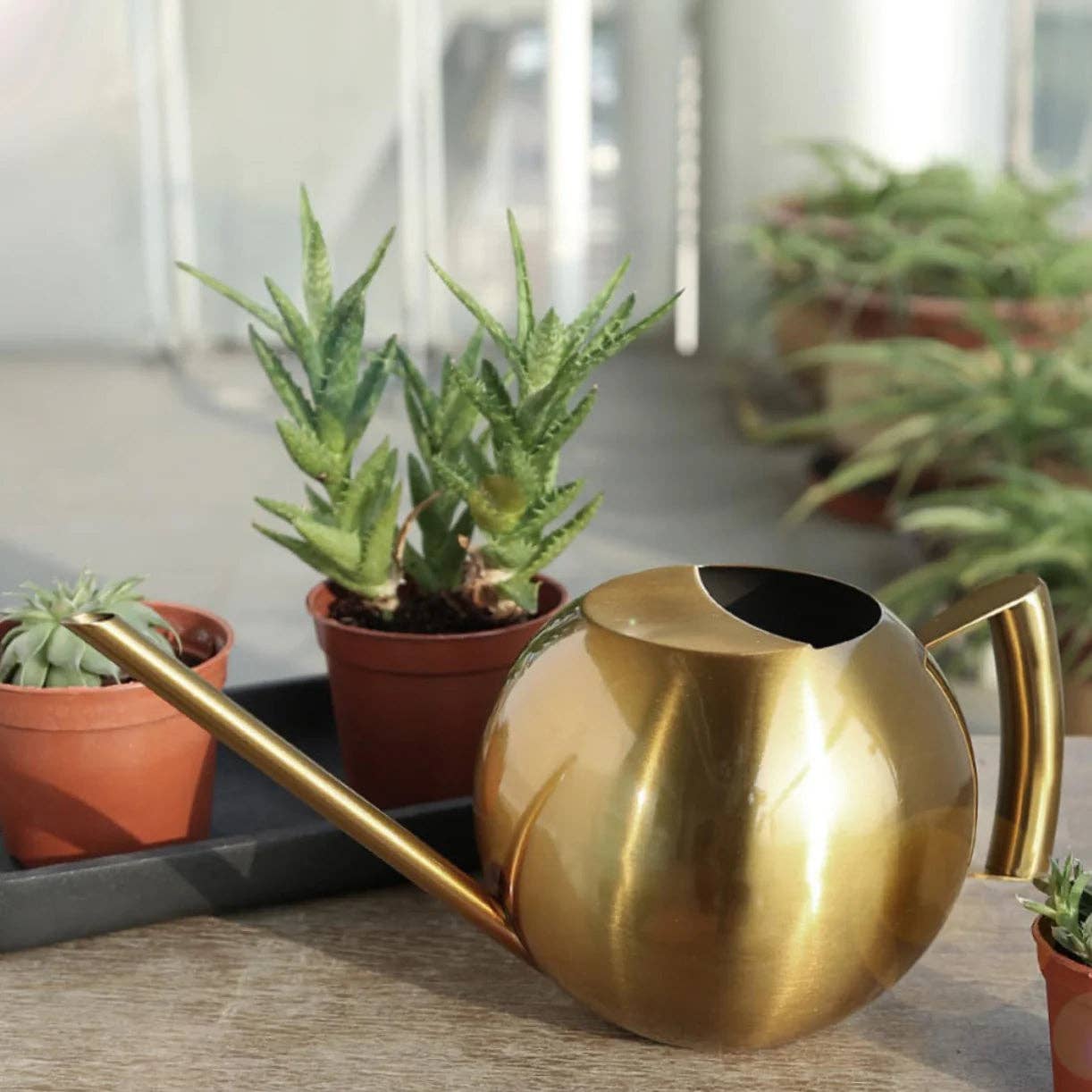 Minimalist Plant Watering Can: Silver