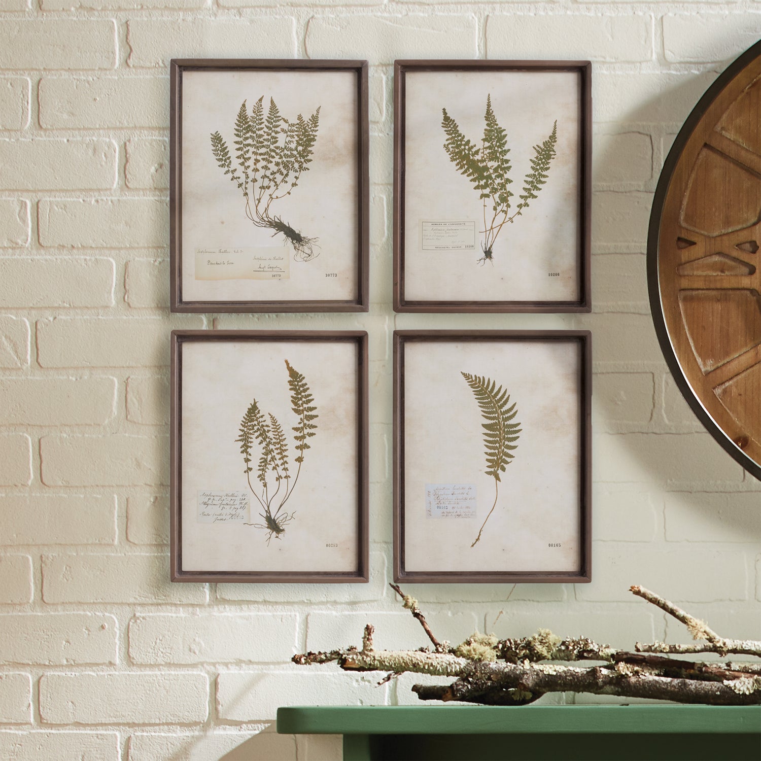 Petite Frond Prints, Set Of 4