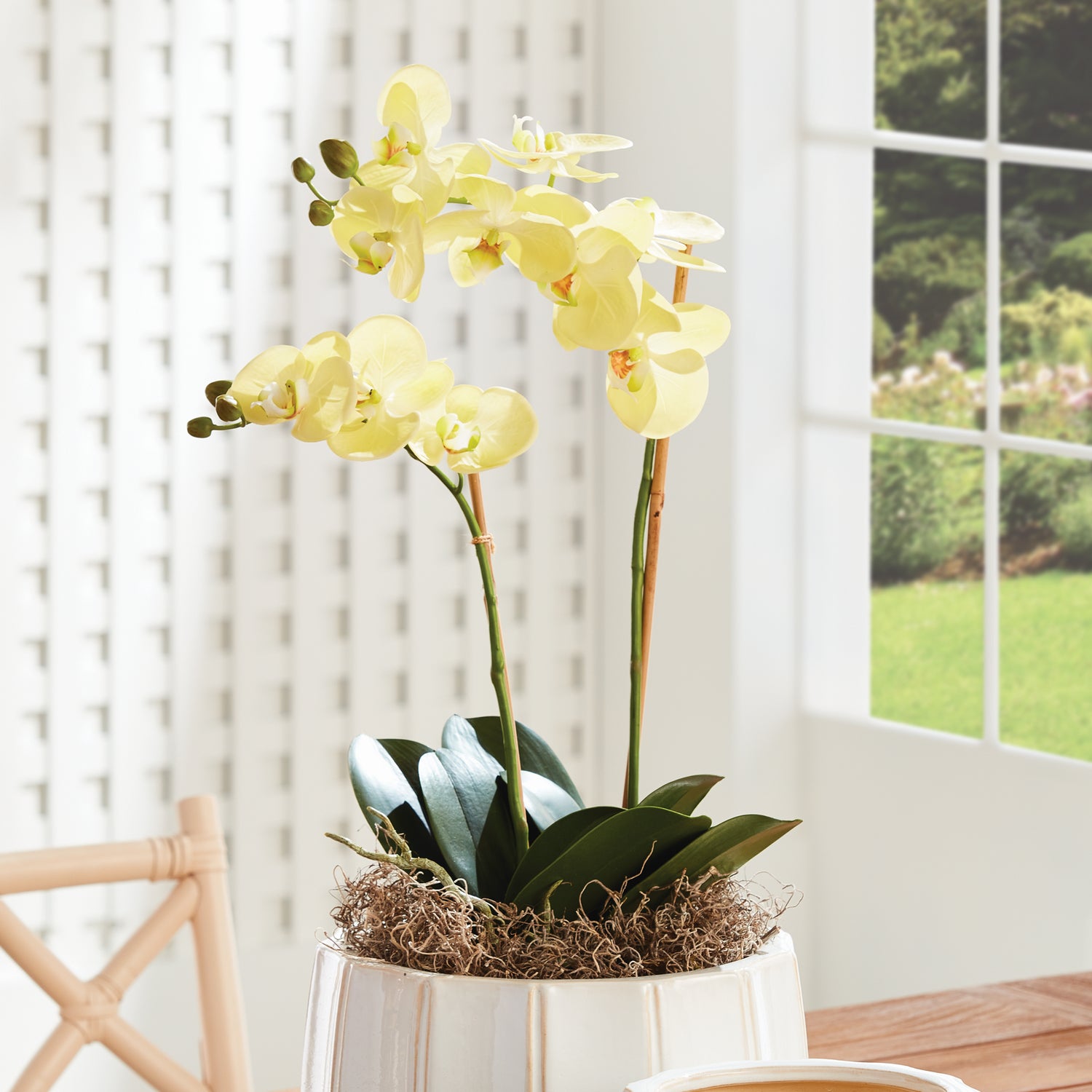 Phalaenopsis Orchid Drop-In 23"