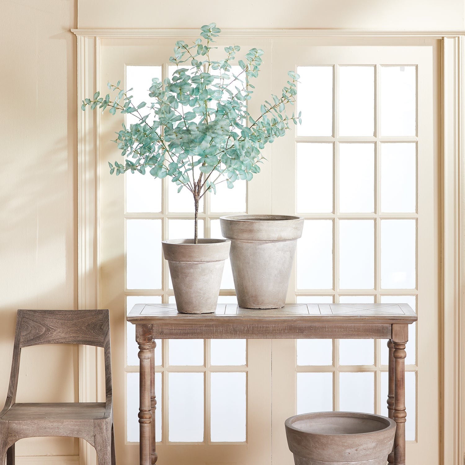 DISCONTINUED Eucalyptus Tree Drop-In 49"