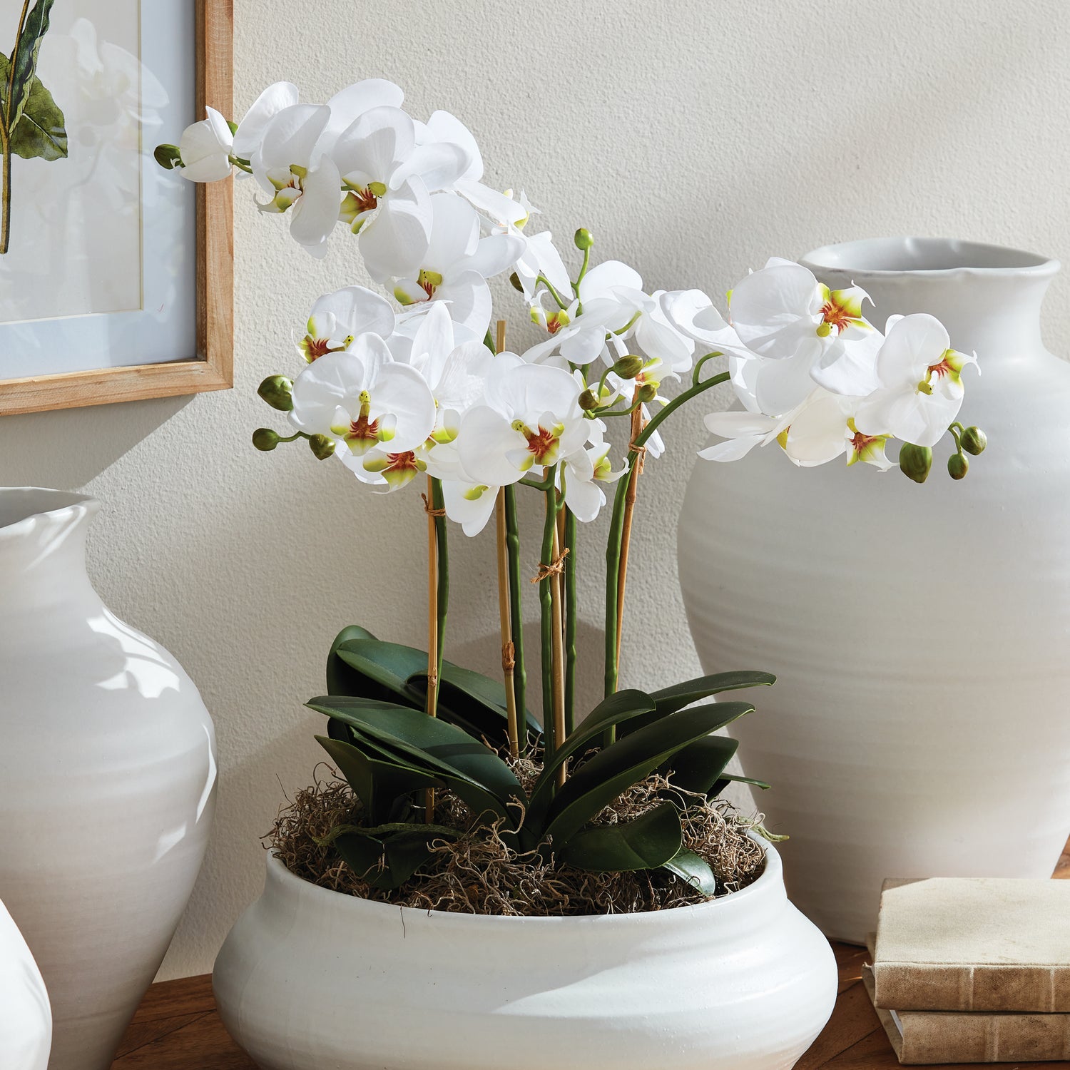 Phalaenopsis Orchid Bowl Drop-In 18.5"