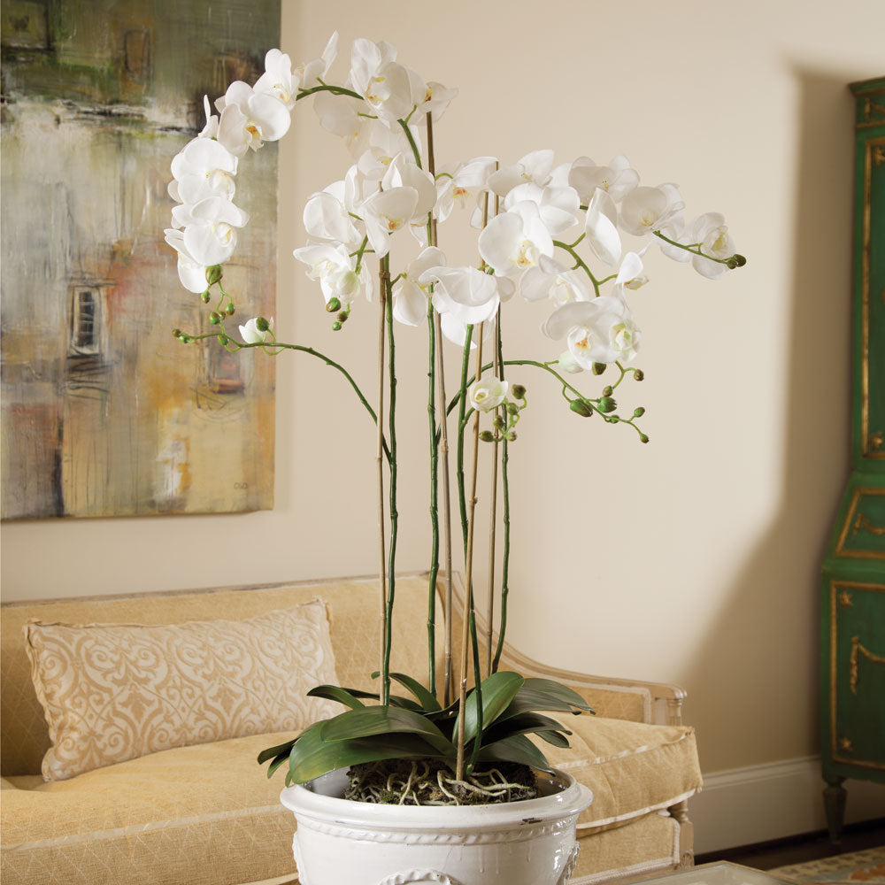 Phalaenopsis Orchid Drop-In 44"