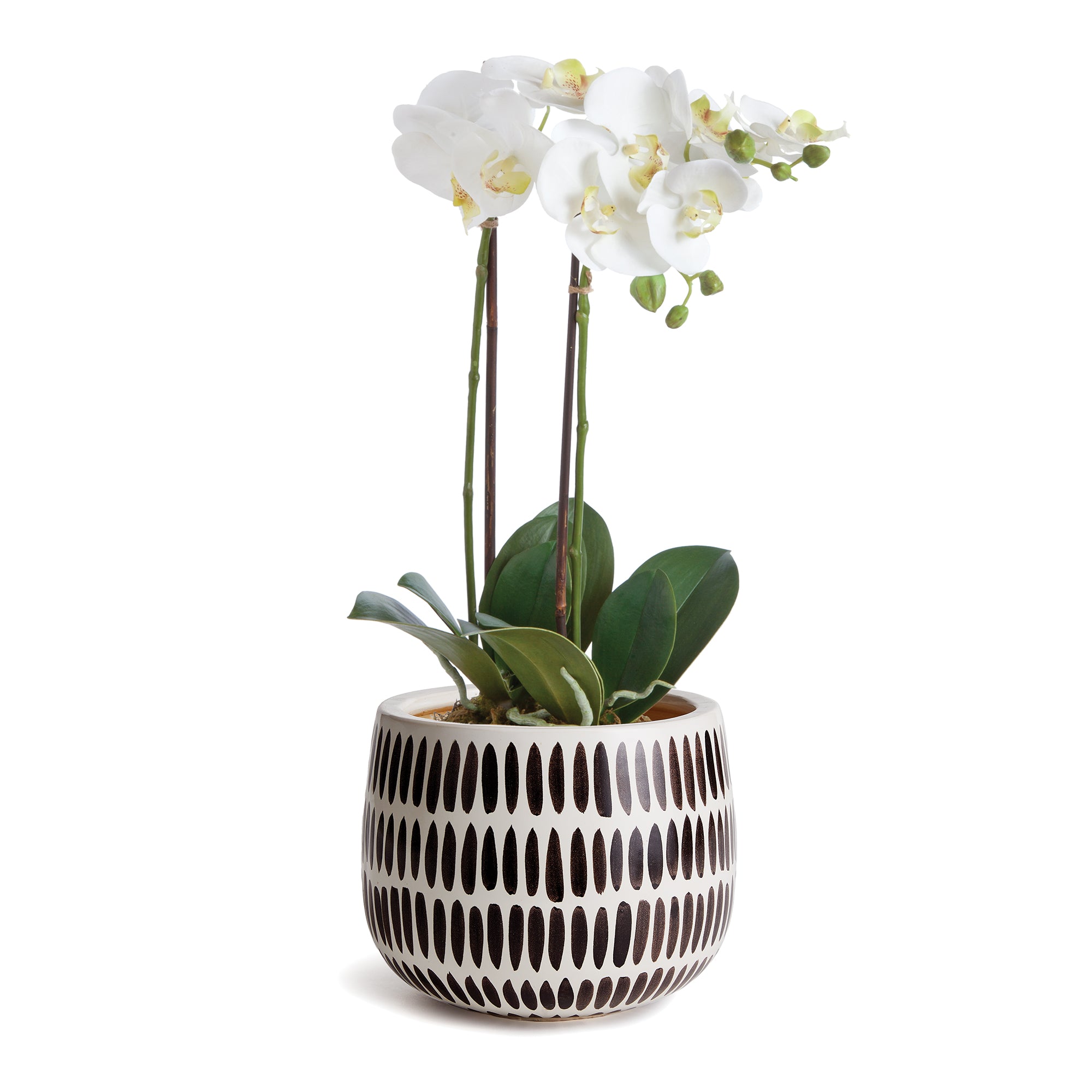 UMA HAND-PAINTED POT SMALL