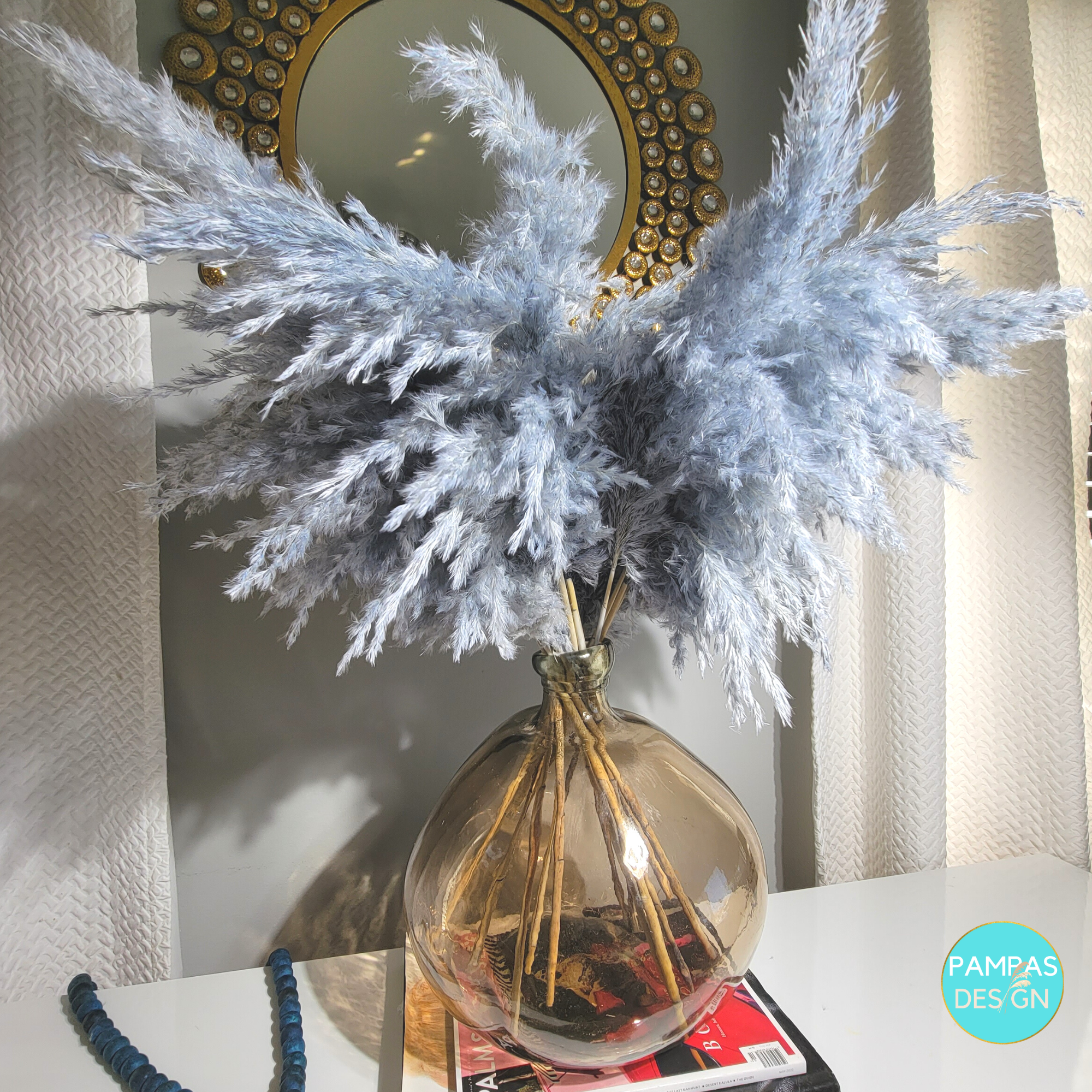 White Pampas Grass Large Fluffy 10 Stems 2ft to 2.5ft: Grey