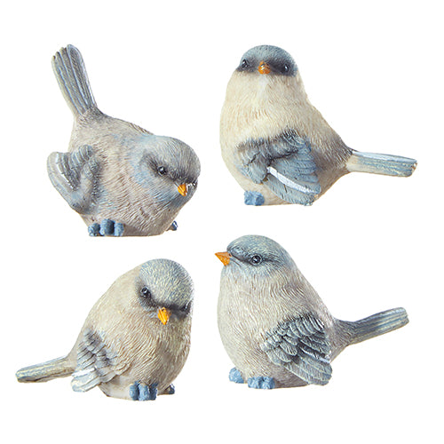 Bird 2.5"