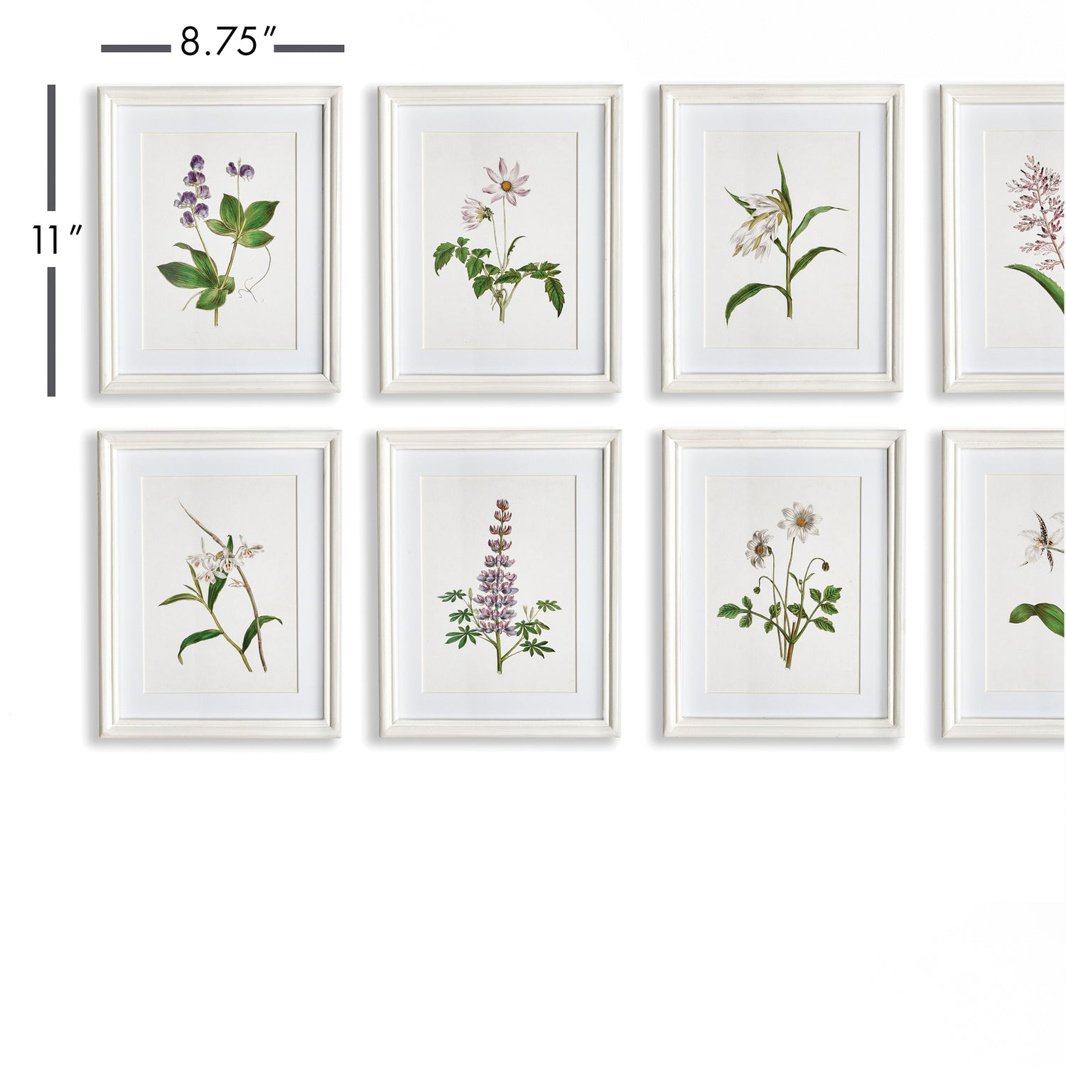 Flowers In Bloom Petite Prints, Set Of 8