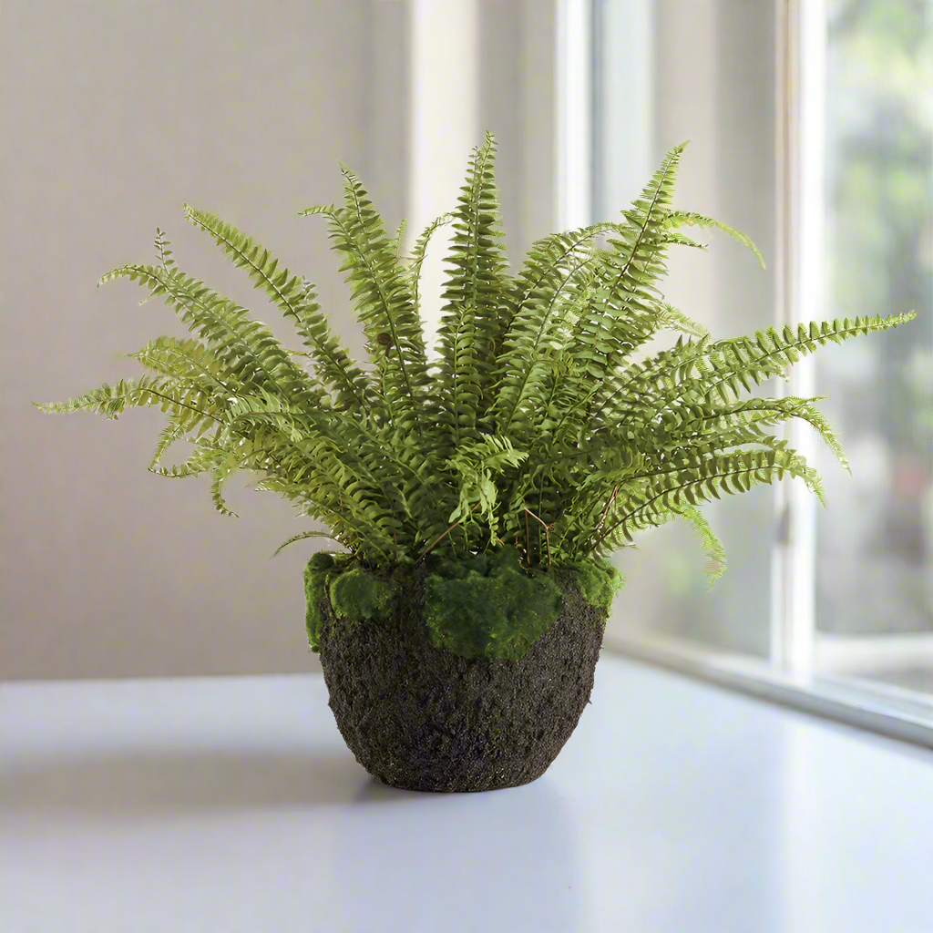 Grand Boston Fern Drop-In 30"