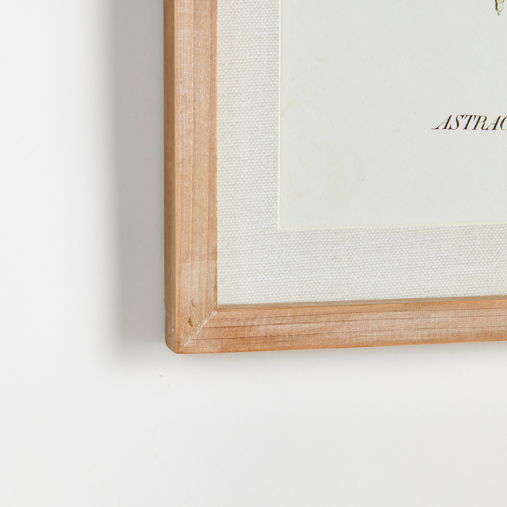 MID-SUMMER BLOOMS PRINTS, SET OF 6