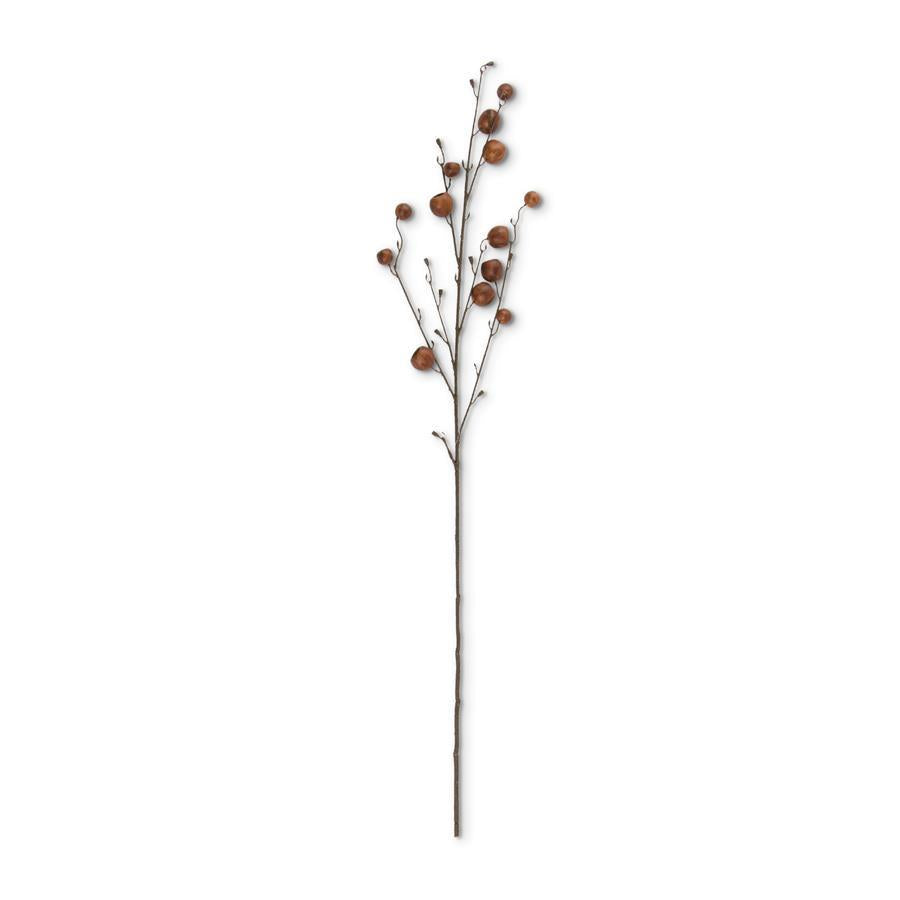 41 Inch Brown Pod Stem