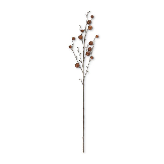 41 Inch Brown Pod Stem
