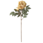 24 Inch Faux Dried Cream Peony Stem