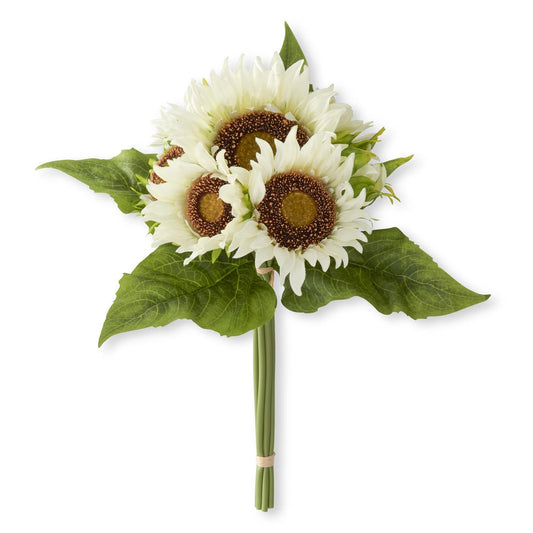 14 Inch White Sunflower Bundle (6 Stems)