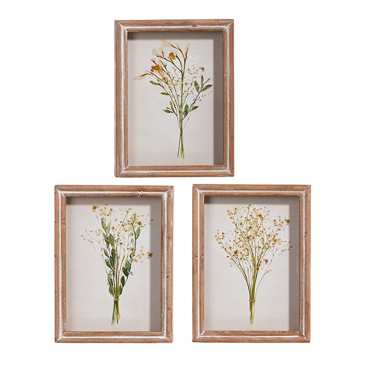 Botanical Shadowbox Framed Print - 10"