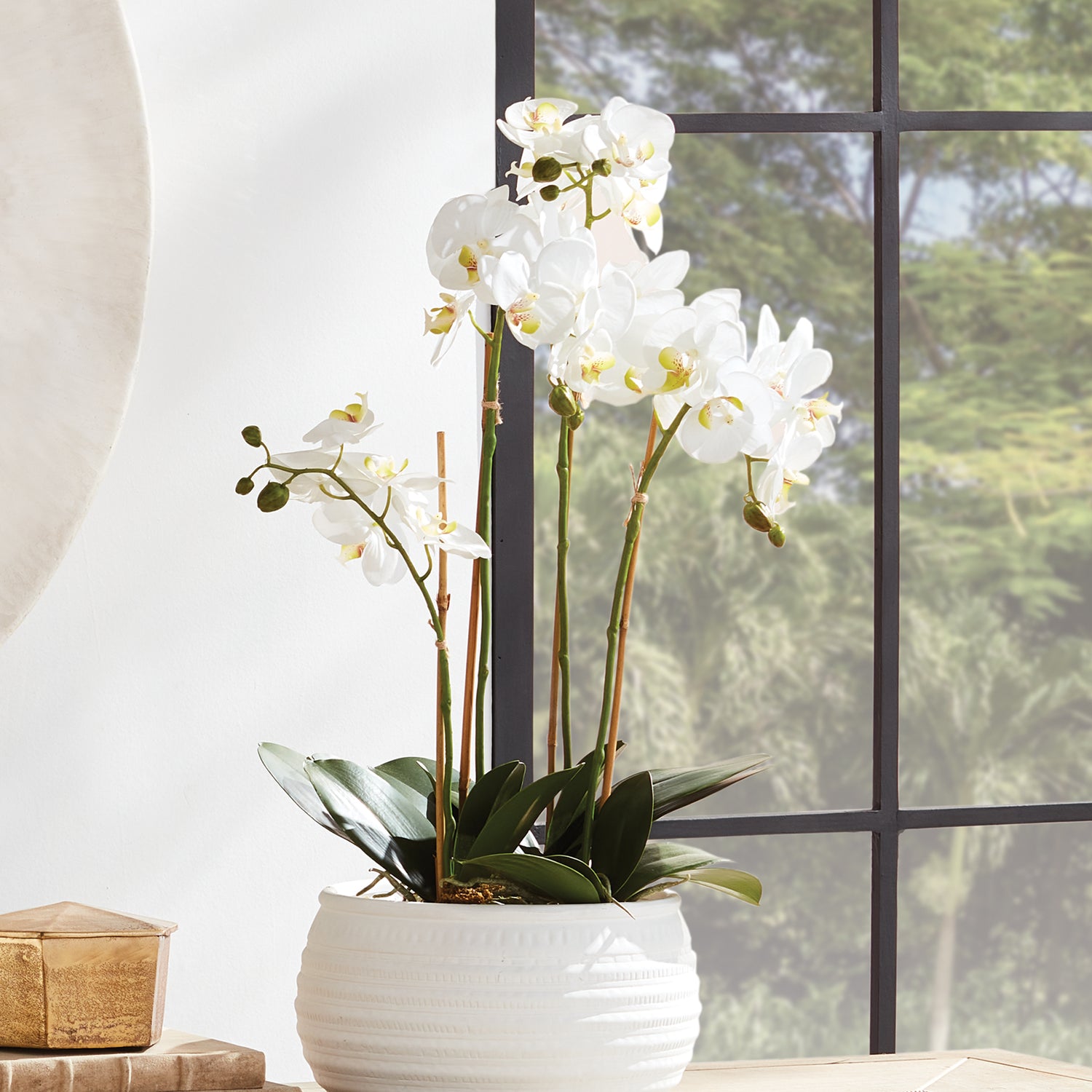 Phalaenopsis Orchid Bowl Drop-In 25"