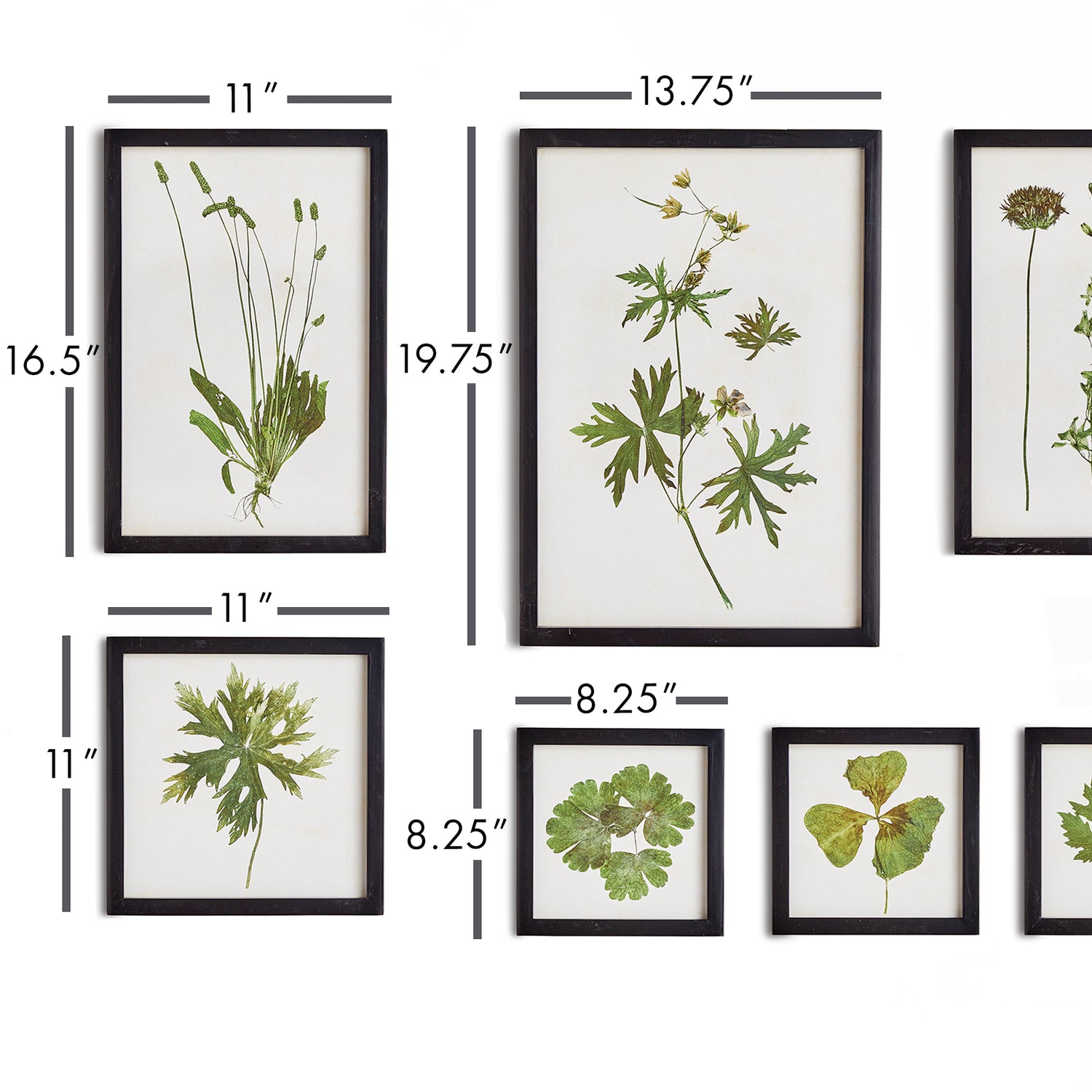 Foliage Prints, Set Of 9