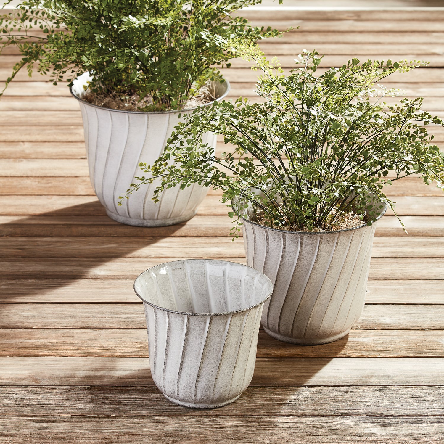 Leilani Pots, Set Of 3