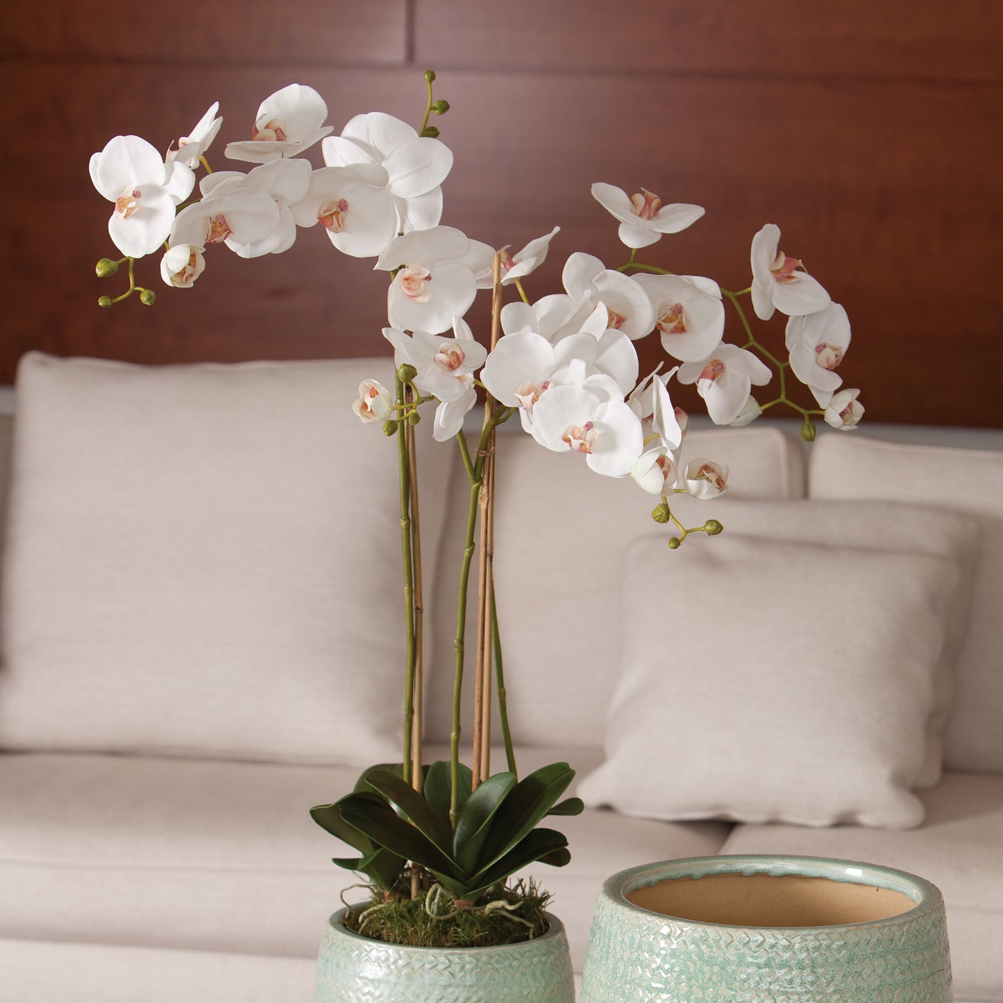 PHALAENOPSIS ORCHID DROP-IN 31"