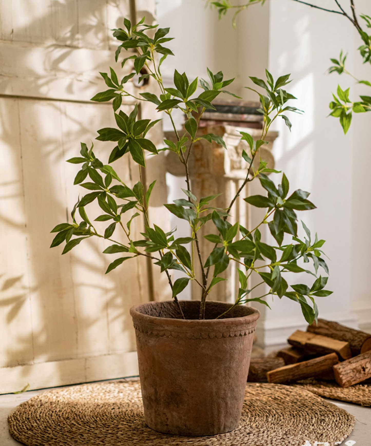 Artificial Japanese Enkianthus Tree: Medium