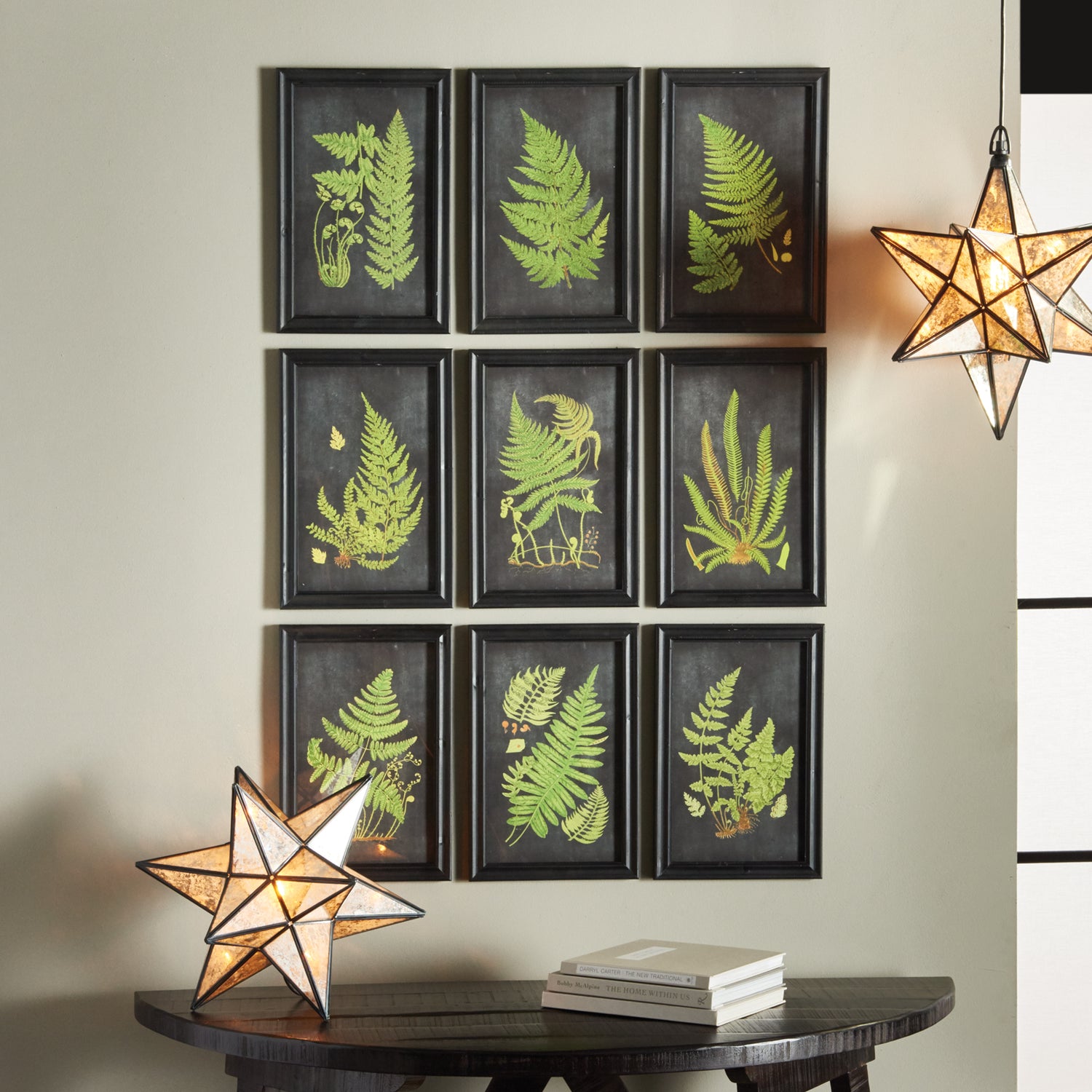 Framed Fern Botanical Prints, Set Of 9