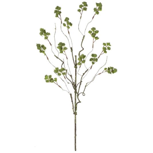 Irish Moss Spray
