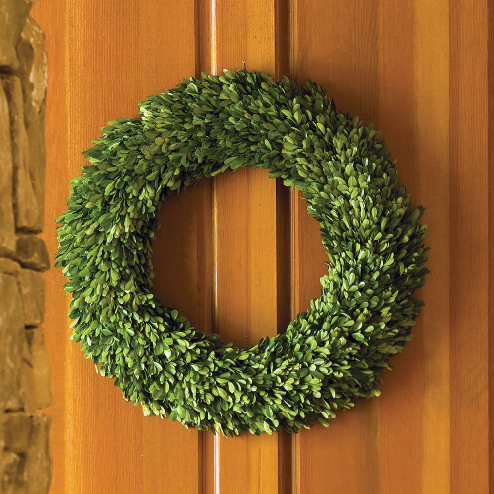 BOXWOOD WREATH 24"