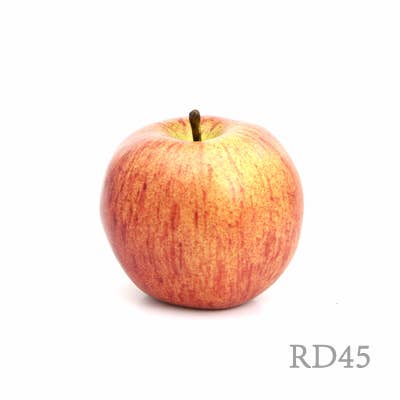 Artificial Apple FT-1714: GN