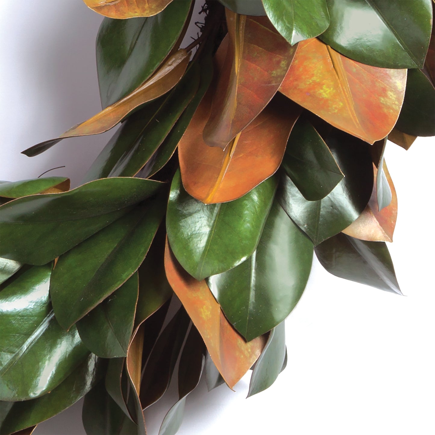 GRAND MAGNOLIA LEAF WREATH 24"