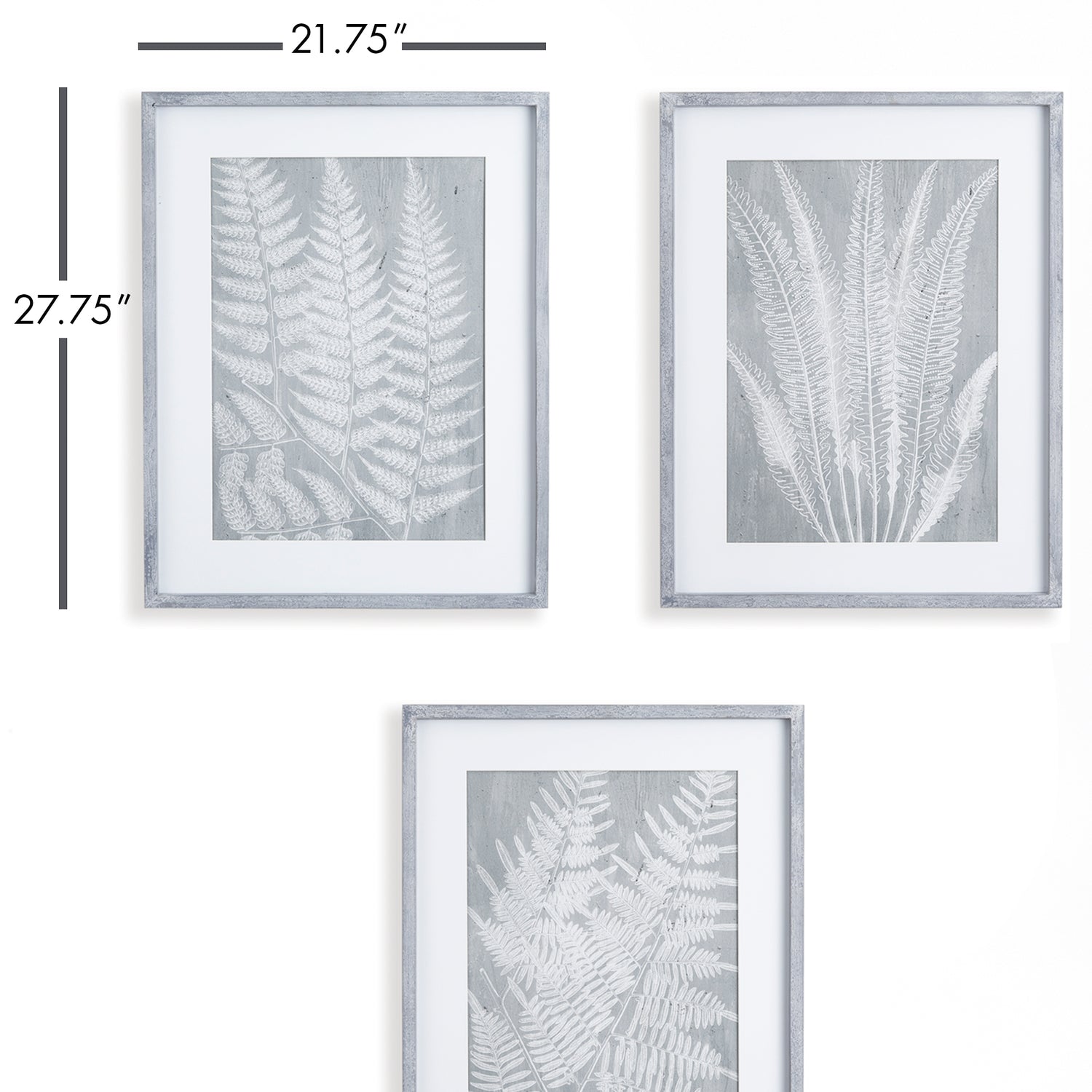 Fern Frond Prints, Set Of 3