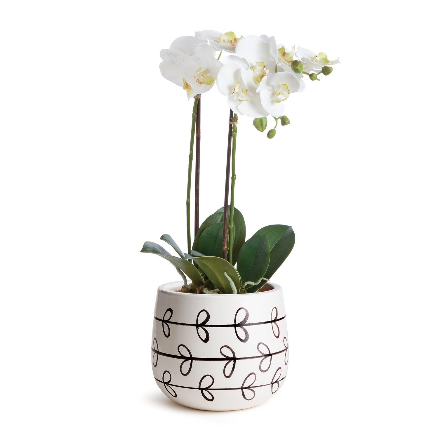 Millie Hand-Painted Pot Small